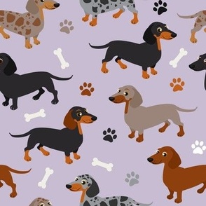 Dachshund Dogs Purple