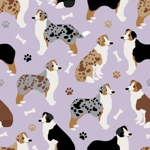 Australian Shepherd Paws and Bones Purple