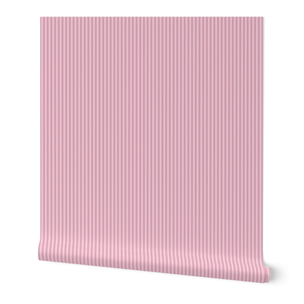 Narrow stripes, evenly spaced, Dark pink and light pink