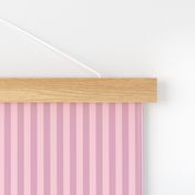 Narrow stripes, evenly spaced, Dark pink and light pink