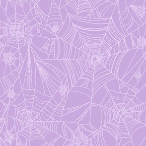 spiderweb on purple
