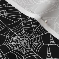 spiderweb on black