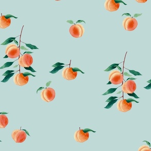 Watercolour Peach Pattern on Teal