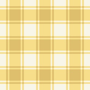 Soft Yellow Gingham with Cream Background Checks Country Folksy - Medium Large Scale
