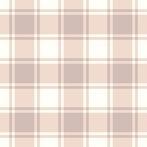 Blush Pink Gingham with Natural Background Checks Baby Classic - Medium Scale