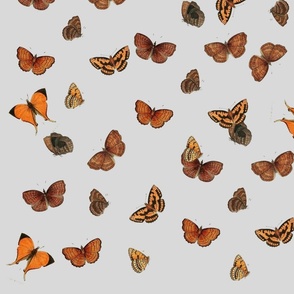 Butterflies On Grey Fabric, Wallpaper and Home Decor | Spoonflower