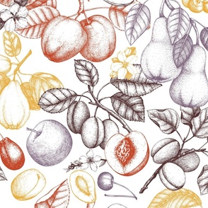 Summer fruits and berries pattern