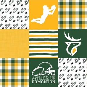 Football//Elks - Wholecloth Cheater Quilt