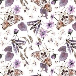 Moths and Purple Night Flowers