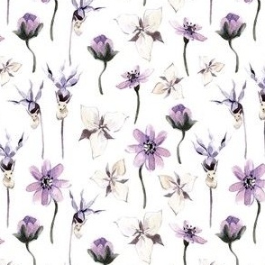 Violet Purple, Lilac, and Lavendar Flowers