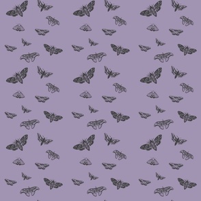butterfly purple - small