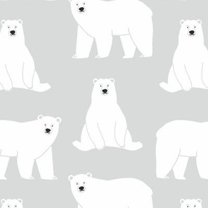 Polar bear - Adventure