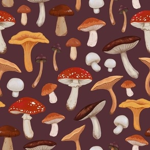 Mushroom Medley - Autumn