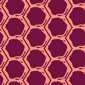 Honeycomb Found - Dawn - 20x20