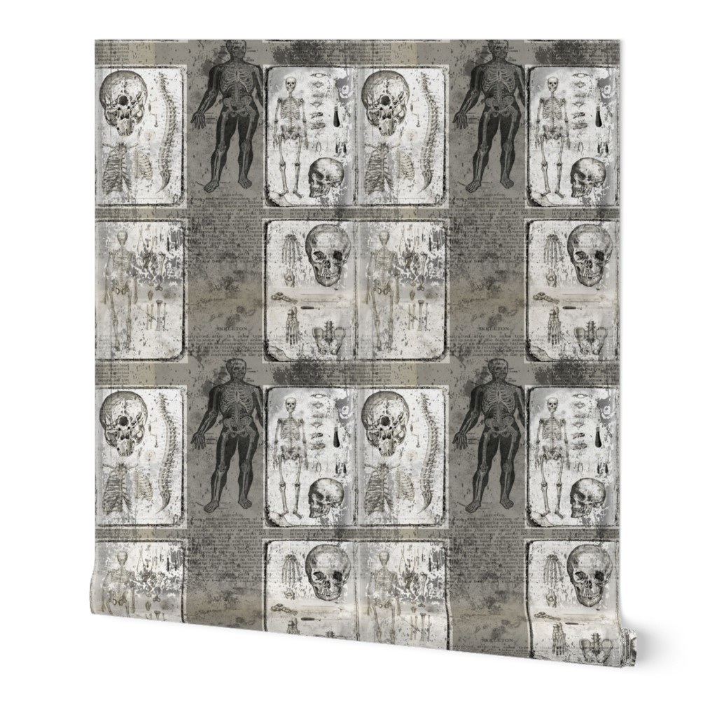 Gray White Vintage Anatomy With Skeleton Skull Grungy Design Fabric Panel