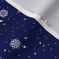 Starry Snowflake Night