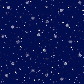 Starry Snowflake Night-SM
