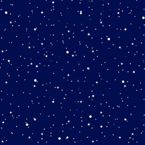 Starry Snow Night-SM