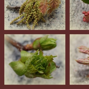 Spring buds wallhanging