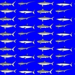 4 Offshore Sharks blue 2in