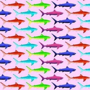 Multicolor Tiger Sharks on pink 2in