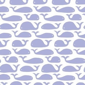 Whale - purple white