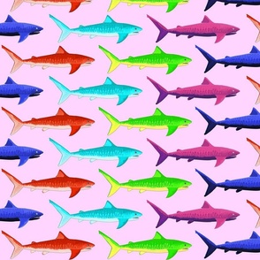 Multicolor Tiger Sharks pink big sized