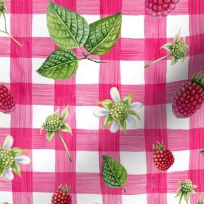 raspberry pink gingham