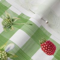 raspberry green gingham