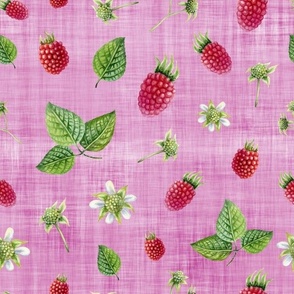 raspberry pink linen