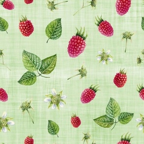 raspberry green linen