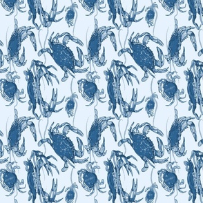 Blue Crab Convention (small rotated)