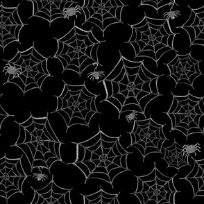 Spiderwebs And Spiders