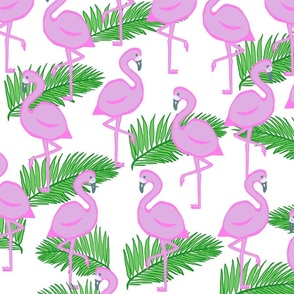 CT2169 Flamingo- Pink Green copy