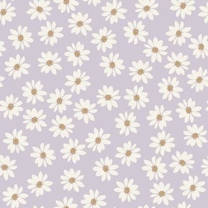 Wild Daisy : lilac + cream