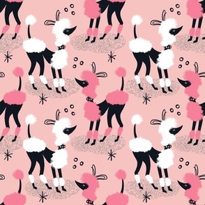 Posh Poodles ~ Solid Pinks