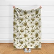 Queen Annes Lace Dry - Green - 20x20