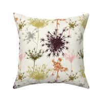 Queen Annes Lace Dry - 10x10