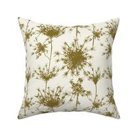 Queen Annes Lace Dry - Green 10x10