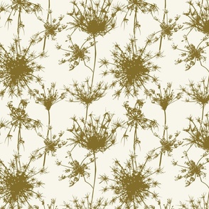 Queen Annes Lace Dry - Green 10x10