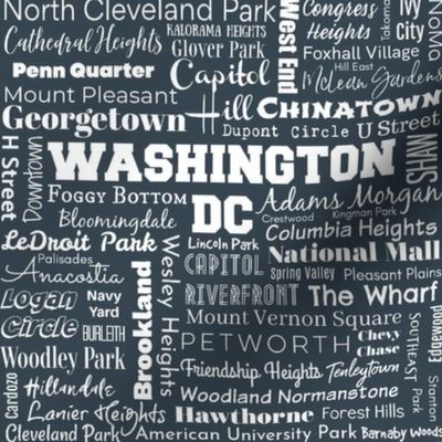 Washington DC neighborhoods, charcoal/white (8-inch repeat)