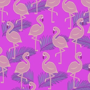 CT2170 Flamingo Pink Purple Teal  copy