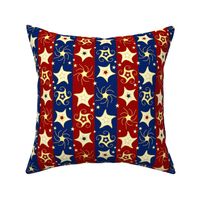 Embroidered_Swirling_and_Twilling_Stars_on_Stripes_C