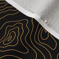 Black and Gold Stripes Wave Elevation Topographic Topo Map Pattern 
