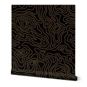 Black and Gold Stripes Wave Elevation Topographic Topo Map Pattern 