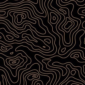 Black and Gold Stripes Wave Elevation Topographic Topo Map Pattern 