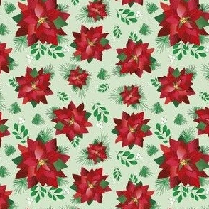 Poinsettia  home // Normal scale // Light Green background // Christmas plants // Poinsettia flower // Xmas decor // Pinetree