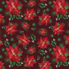 Poinsettia  home // Normal scale // Bordo background // Christmas plants // Poinsettia flower // Xmas decor // Pinetree