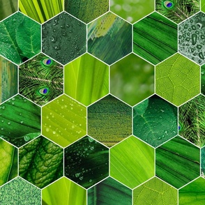 textured hexagons -  green