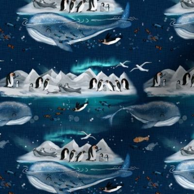 Antarctic Penguins Whale Seals Aurora Borealis Northern Lights Mountains